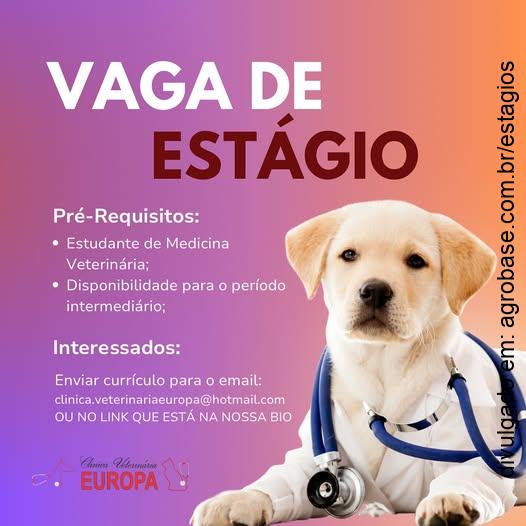 Estágio em medicina veterinária – Santa Bárbara d’Oeste/SP