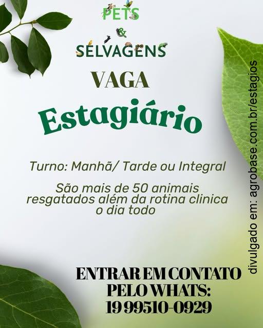 Estágio com manejo de animais silvestres e exóticos – Americana/SP