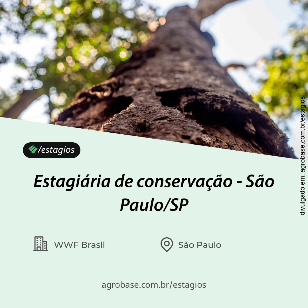 Estagiária de conservação – São Paulo/SP