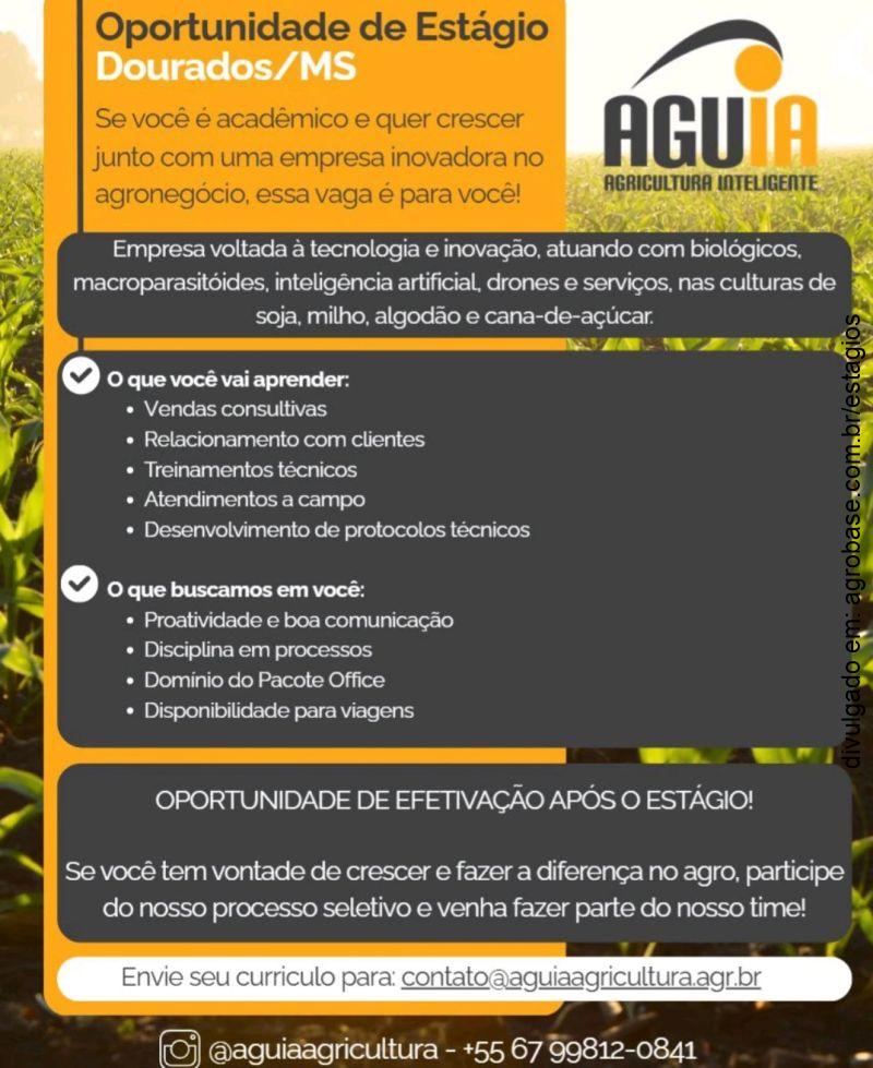 Estágio em agronegócio – Dourados/MS