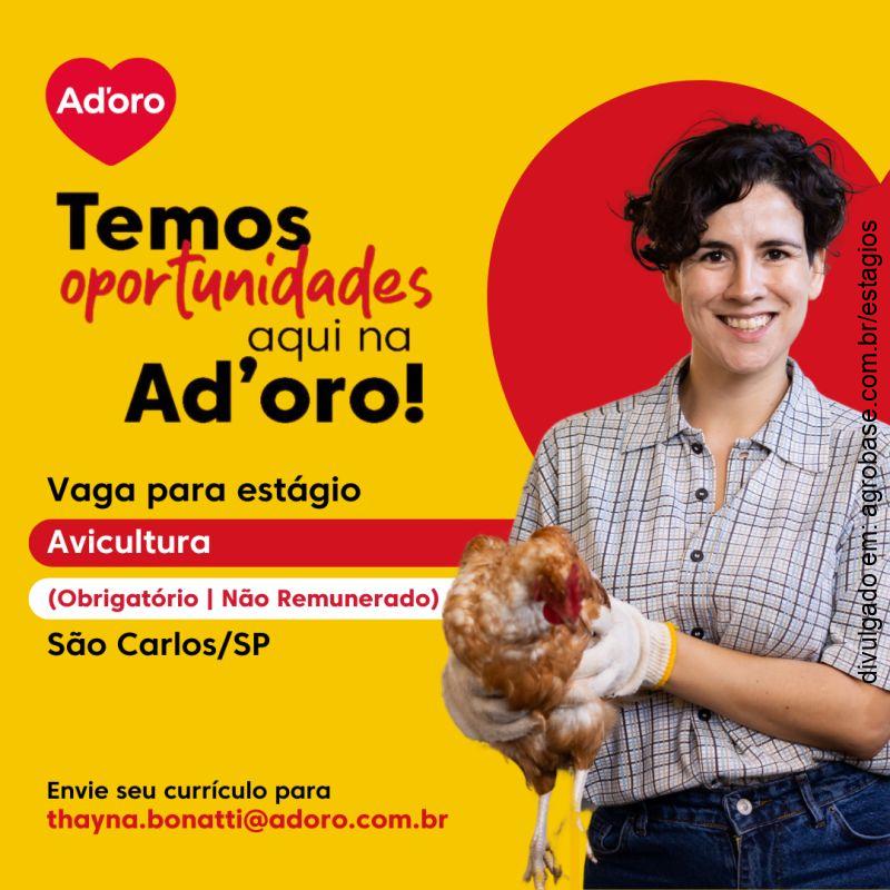 Estágio em avicultura – São Carlos/SP