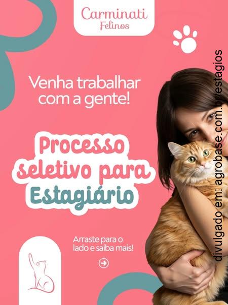 Estágio medicina veterinária [felinos] – Brasília/DF