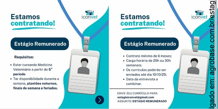 Estágio medicina veterinária – Salvador/BA