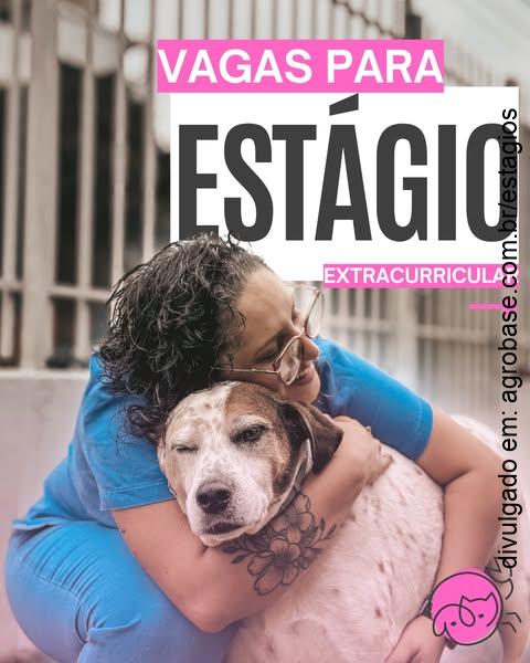 Estágio oncologia e clínica de pequenos animais – Chapecó/SC
