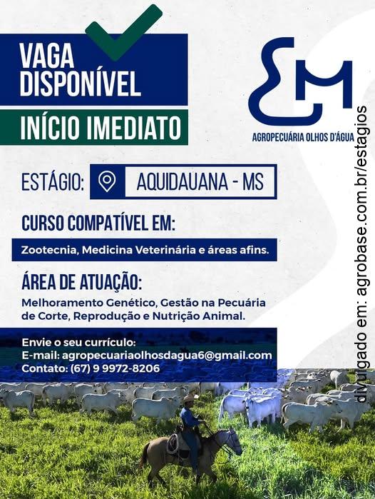Estágio em agropecuária – Aquidauana/MS