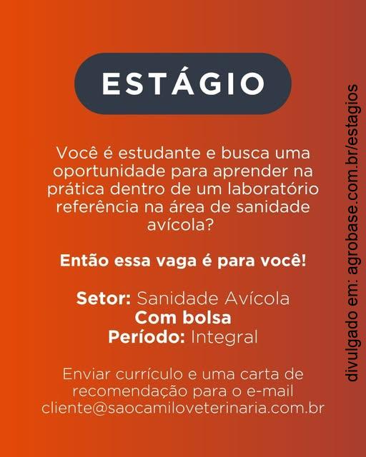 Estágio em microbiologia veterinária –Maringá/PR