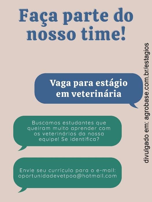 Estágio em veterinária – Porto Alegre/RS