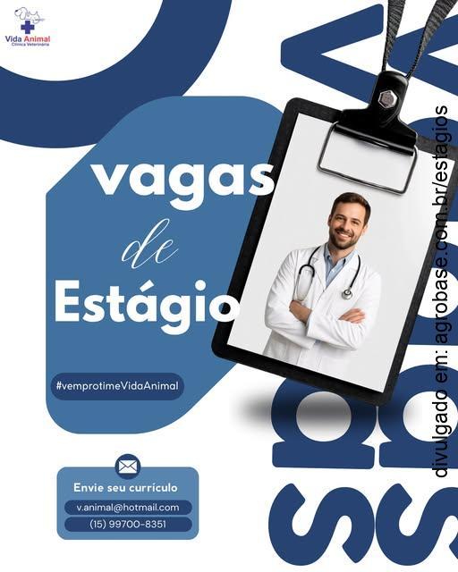 Estágio em medicina veterinária – Tatuí/SP