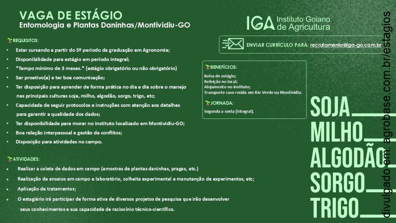 Estágio entomologia e plantas daninhas – Montividiu/GO