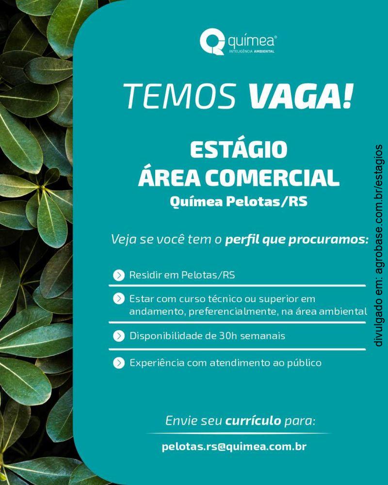 Estágio área comercial – Pelotas/RS