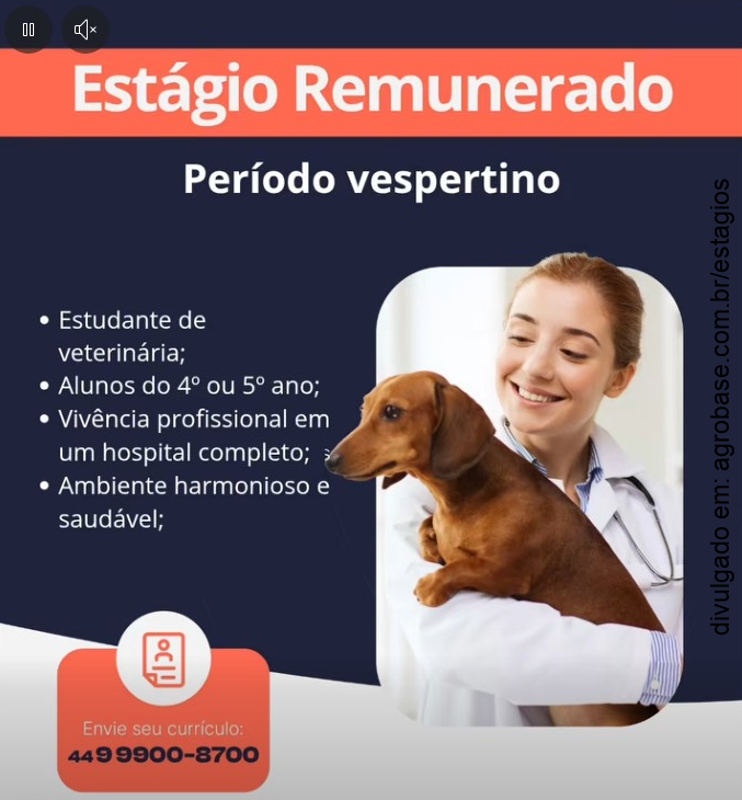 Estágio veterinária – Maringá/PR