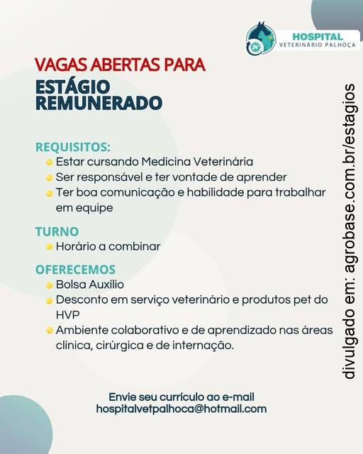 Estágio medicina veterinária – Palhoça/SC