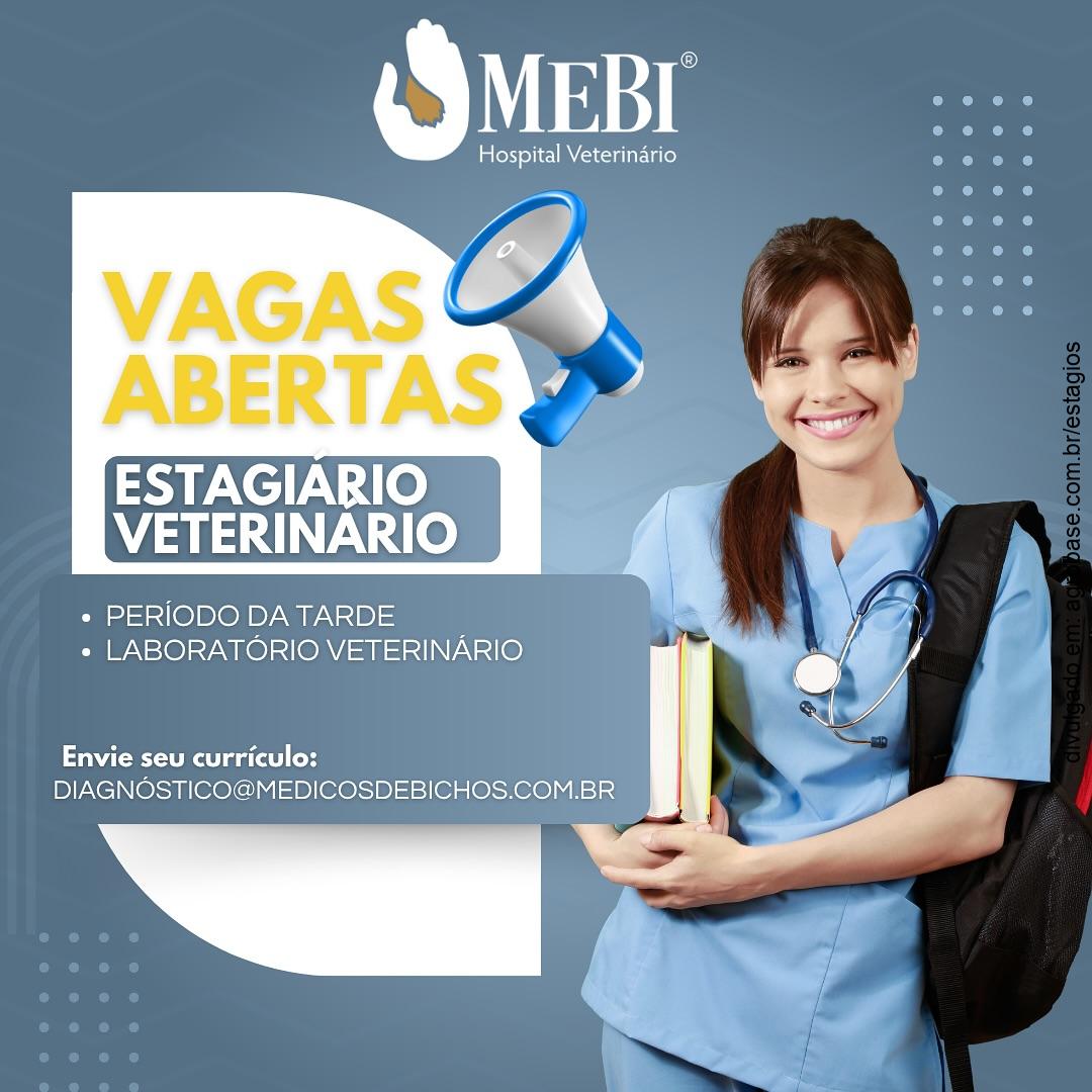Estágio em laboratório veterinário – Curitiba/PR [tarde]