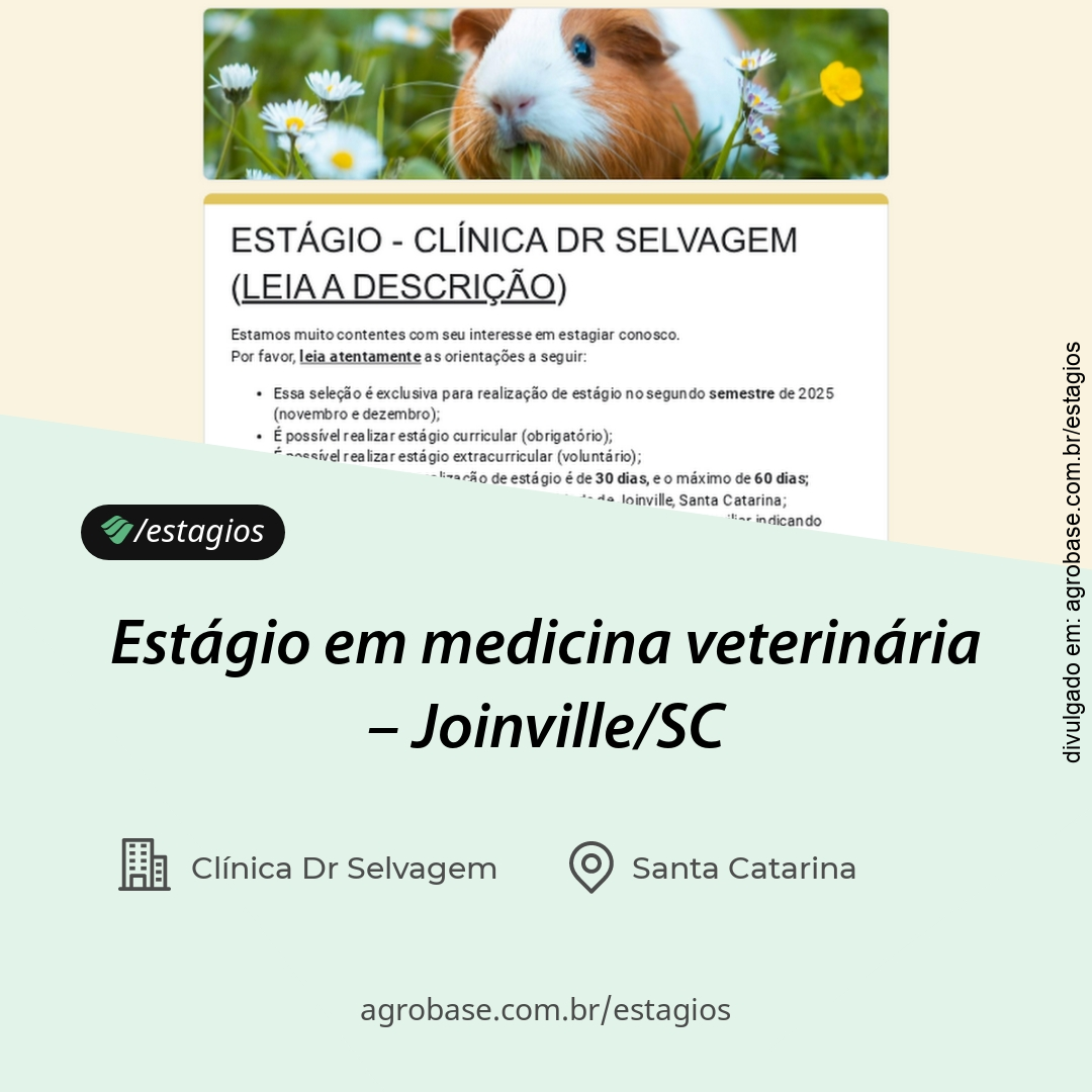 Estágio em medicina veterinária – Joinville/SC
