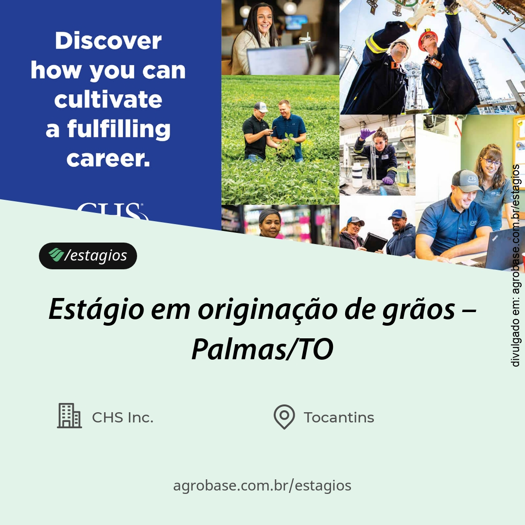 Estágio em originação de grãos – Palmas/TO