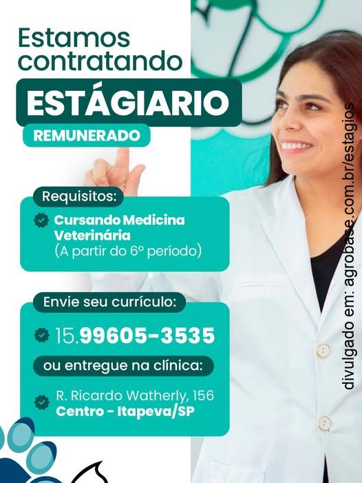 Estágio medicina veterinária – Itapeva/SP