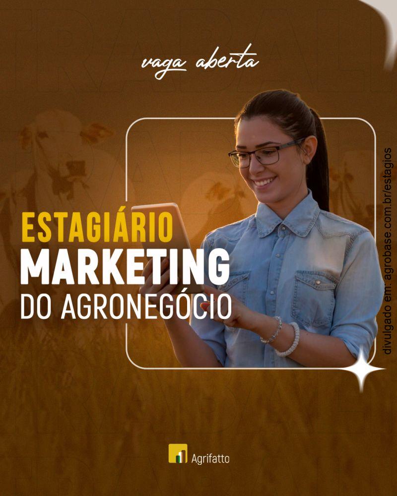 Estágio em marketing – home office