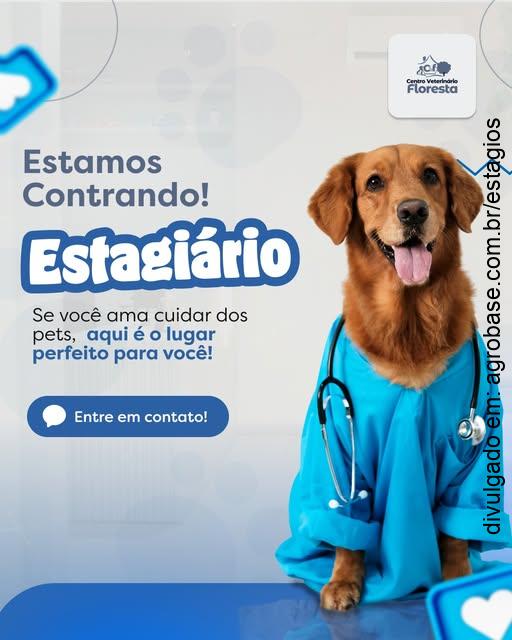 Estágio de veterinária – Joinville/SC