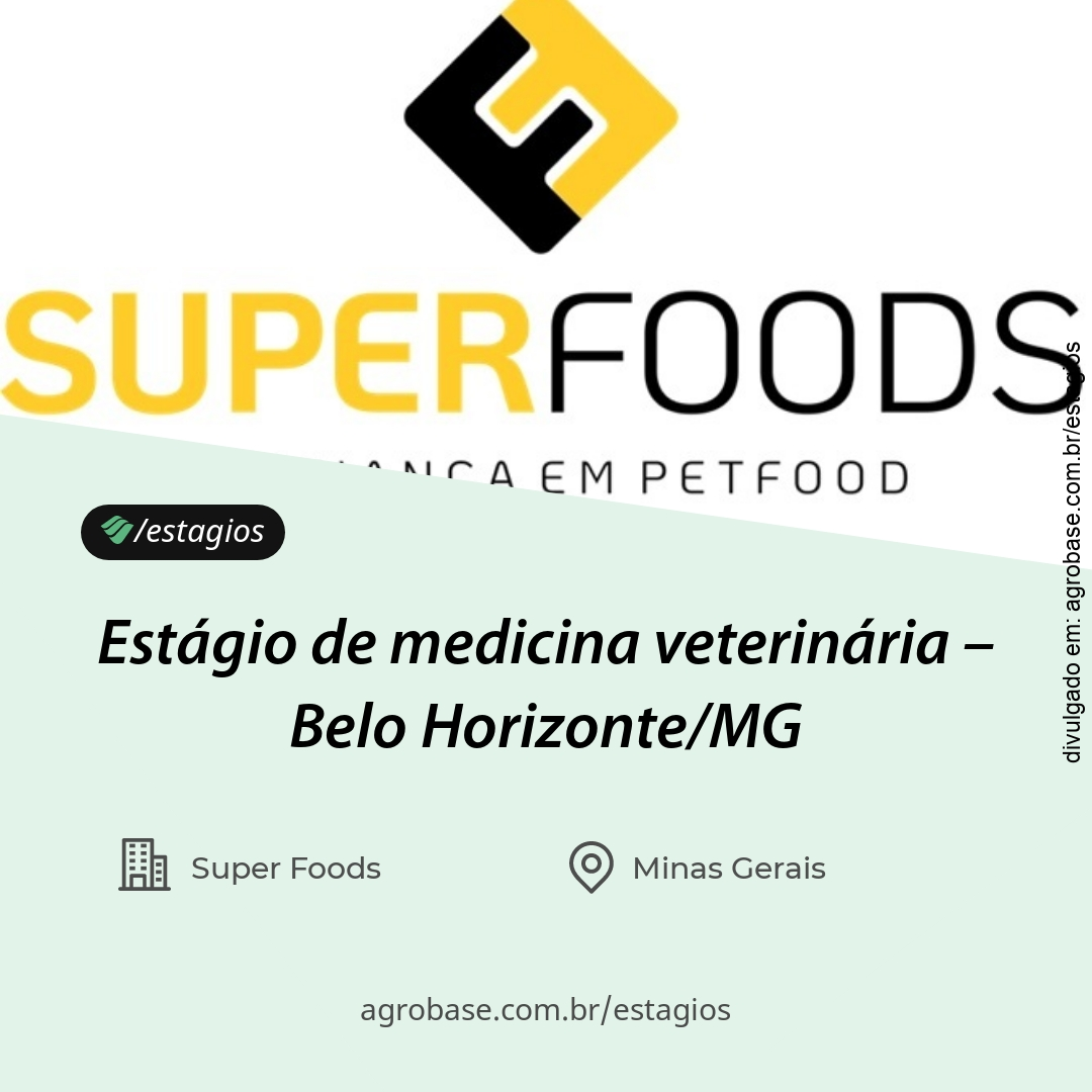 Estágio de medicina veterinária – Belo Horizonte/MG