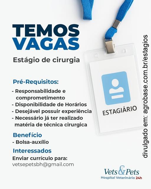 Estágio de cirurgia veterinária – Belo Horizonte/MG