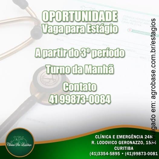 Estágio na área veterinária – Curitiba/PR