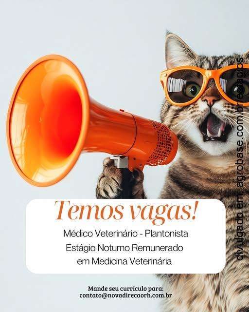 Estágio noturno remunerado em med. veterinária – São Paulo/SP