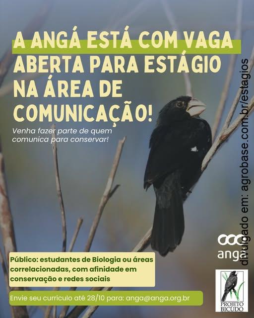 Estágio na área de comunicação