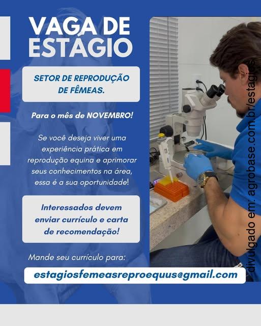 Estágio em reprodução de fêmeas – Novo Horizonte/SP