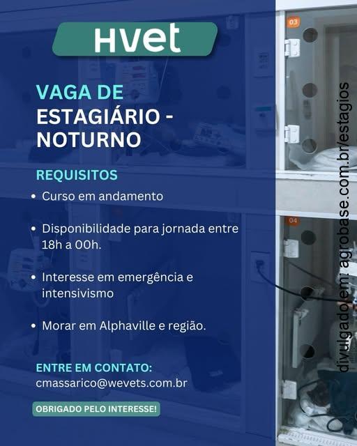 Estágio noturno – Santana de Parnaíba/SP