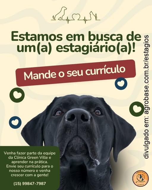 Estagiário veterinária – Sorocaba/SP