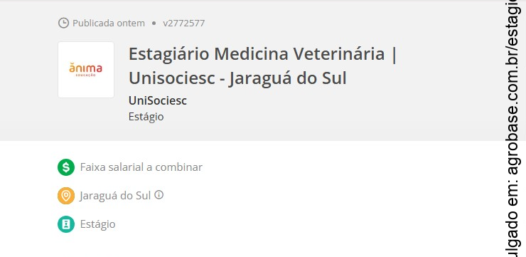 Estágio medicina veterinária – Jaraguá do Sul/SC