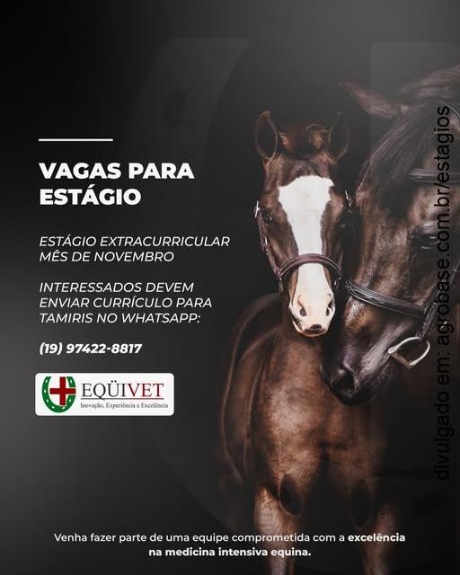 Estágio extracurricular Eqüivet Hospital Veterinário – Indaiatuba/SP