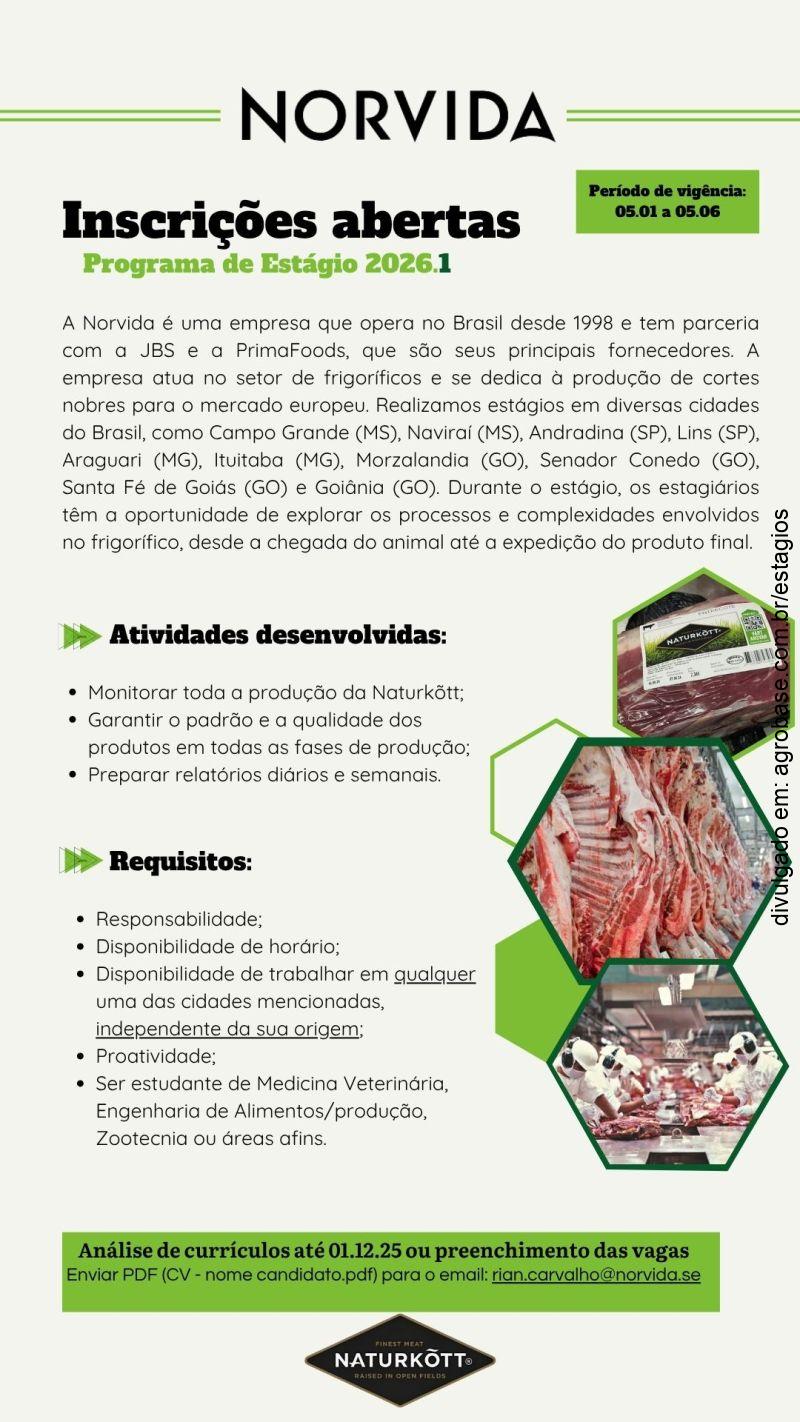 Programa de Estágio Norvida – Campo Grande/MS