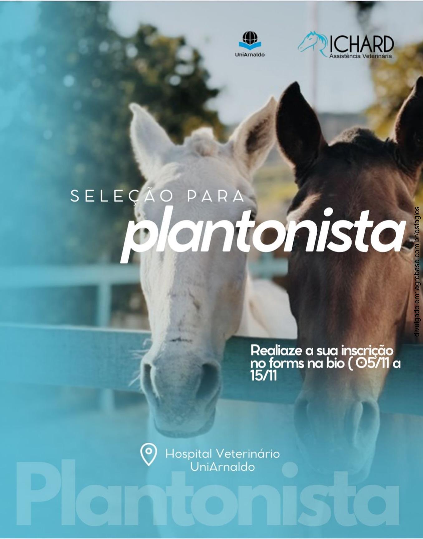 Estágio plantonista equinos – Belo Horizonte/MG