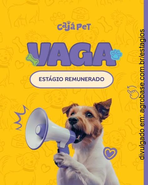 Estágio remunerado – Londrina/PR