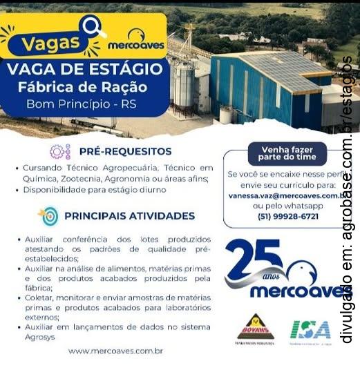 Estágio na fábrica de ração – Bom Princípio/RS