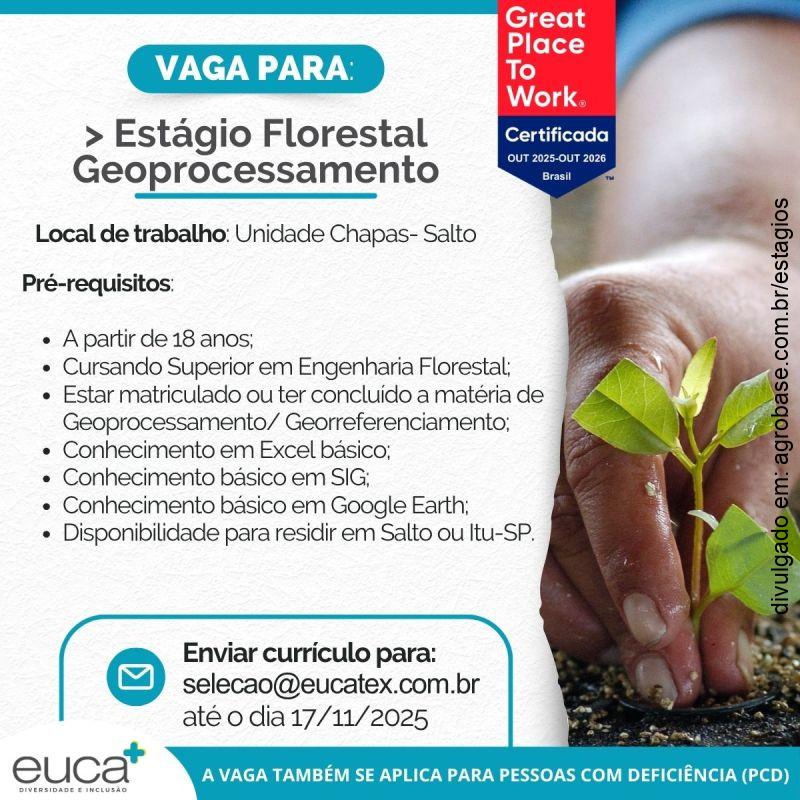 Estágio florestal geoprocessamento – Salto/SP