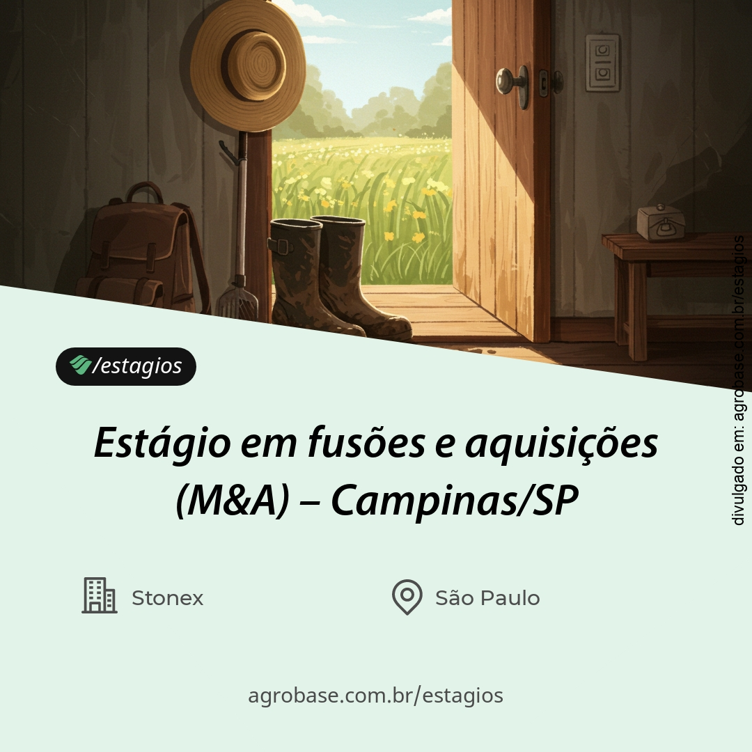 Estágio em fusões e aquisições (M&A) – Campinas/SP