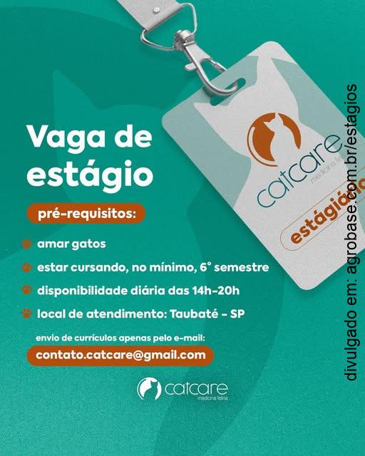 Estágio em veterinária catfriendly – Taubaté/SP