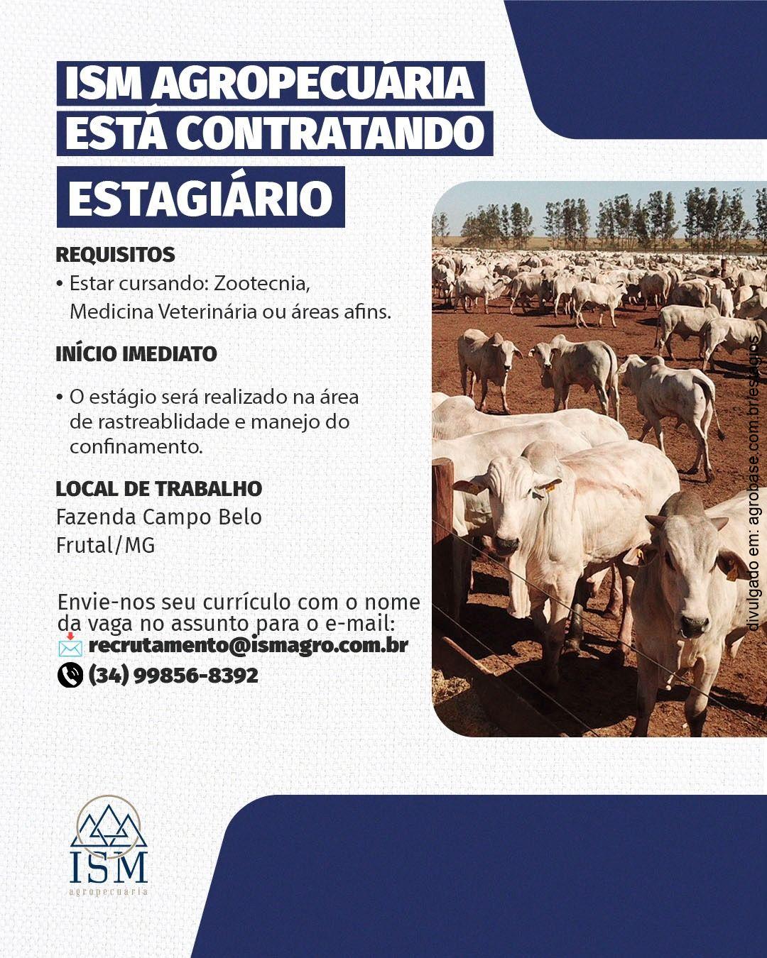 Estágio em rastreabilidade e manejo do confinamento – Frutal/MG
