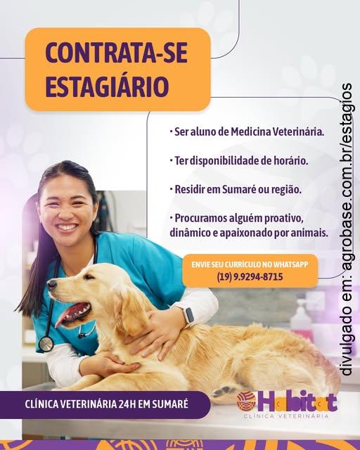 Estágio em medicina veterinária – Sumaré/SP