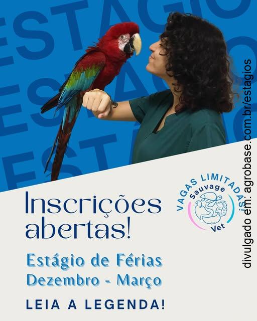 Estágio de férias (dezembro a março) – Vitória/ES