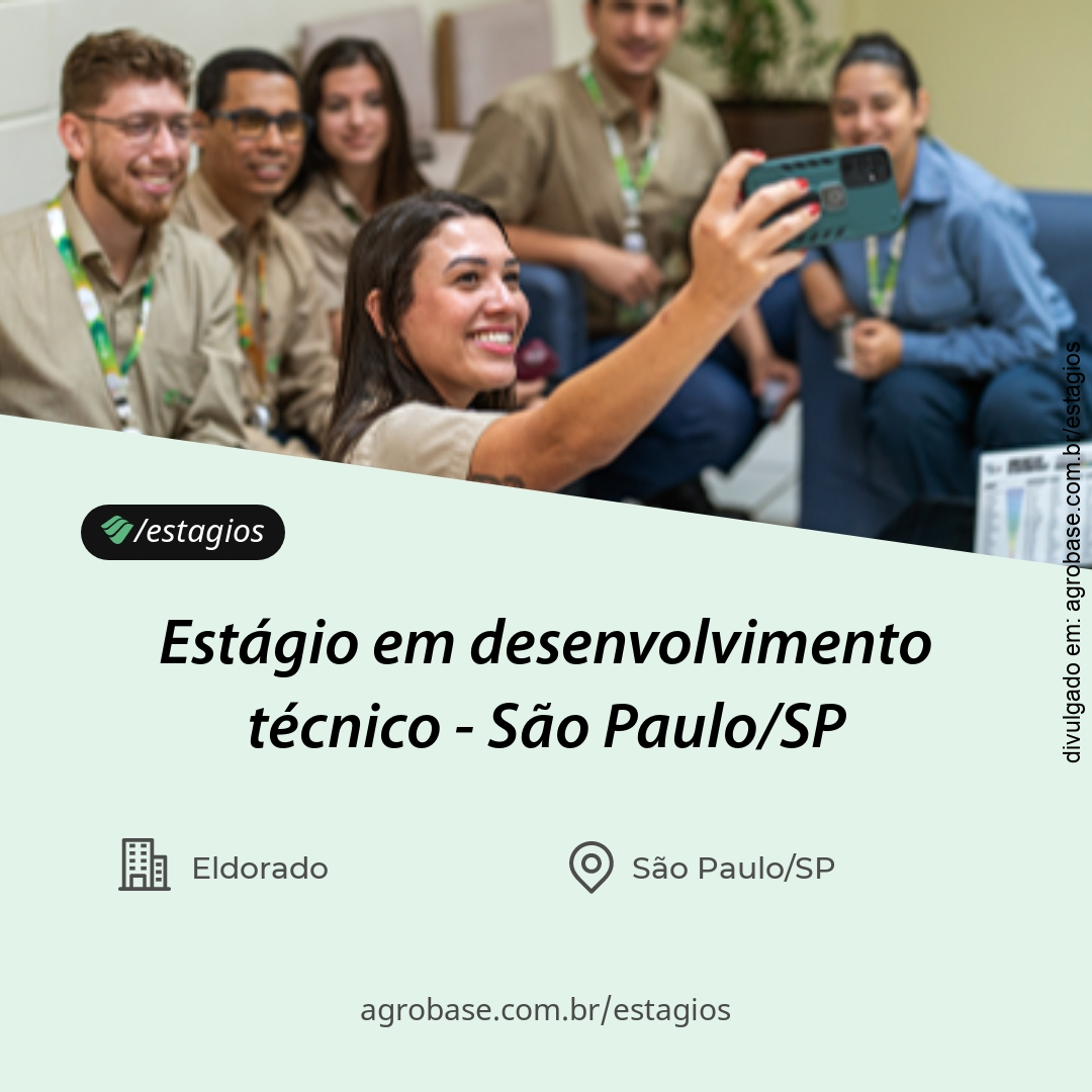 Estágio em desenvolvimento técnico – São Paulo/SP