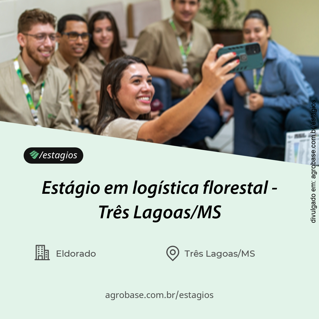 Estágio em logística florestal – Três Lagoas/MS