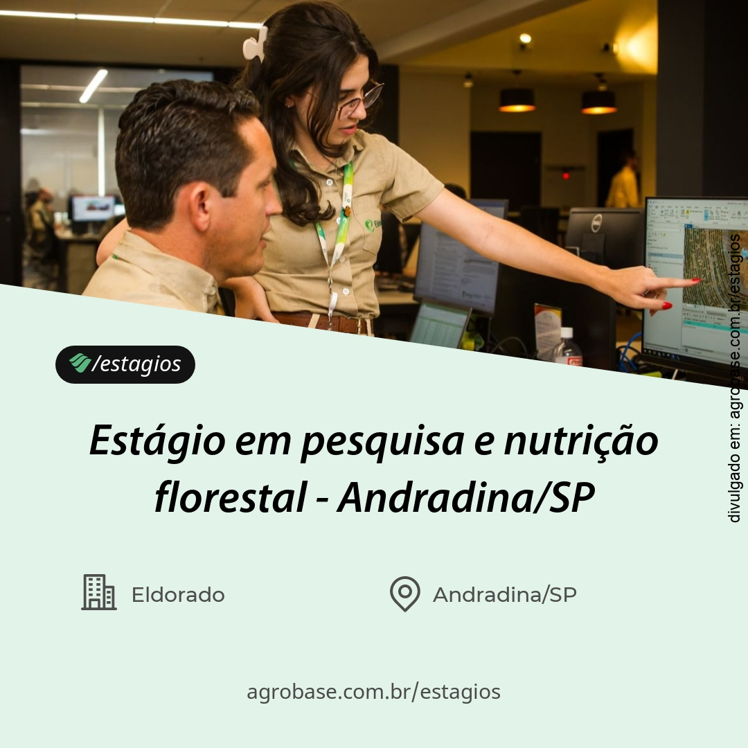 Estágio em pesquisa e nutrição florestal – Andradina/SP