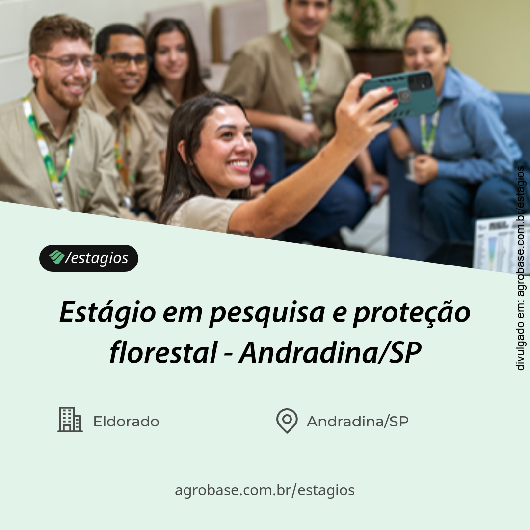 Estágio em pesquisa e proteção florestal – Andradina/SP