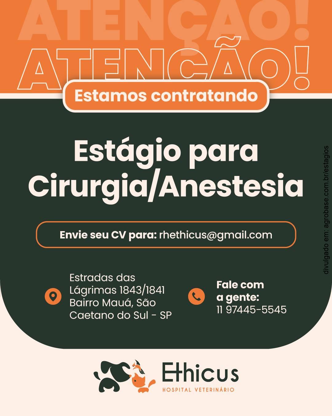 Estágio para cirurgia/ anestesia – São Caetano do Sul/SP