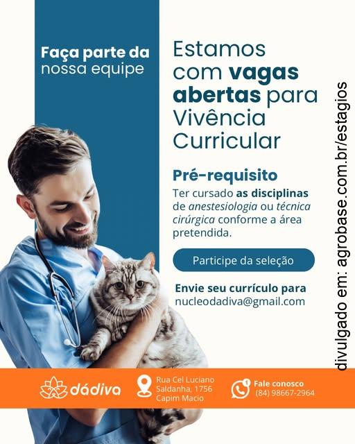 Vivência curricular: cirurgia e anestesiologia veterinária – Natal/RN