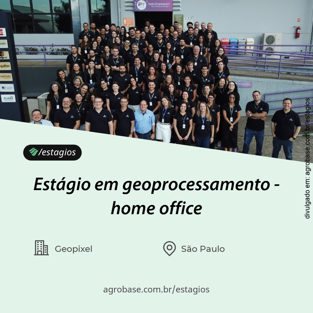 Estágio em geoprocessamento – home office