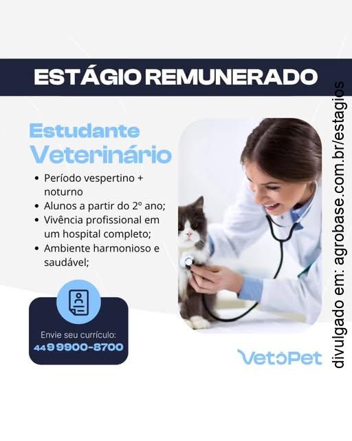 Estágio estudante veterinário – Maringá/PR